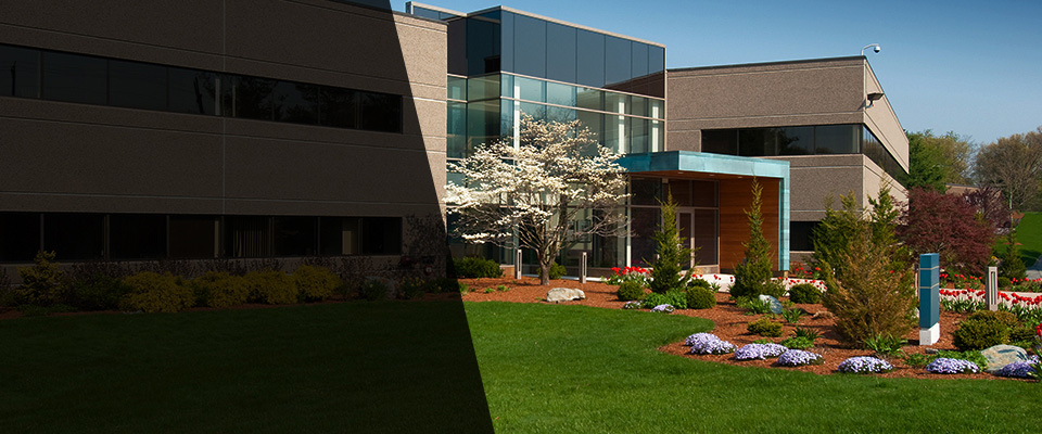 Waterloo Landscapers
