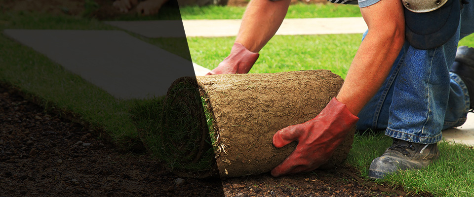 Waterloo Landscapers